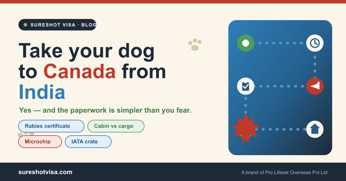 Can You Take Your Dog to Canada from India? The 2026 Pet Guide — cover image